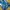 CELANA JOGGER PANTS ADIDAS TRIFOIL photo 2
