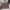 Aigner Celia Handbag Mushroom M – Original
 photo 8