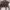 Aigner Celia Handbag Mushroom M – Original
 photo 2