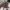 Aigner Celia Handbag Mushroom M – Original
 photo 5