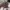 Aigner Celia Handbag Mushroom M – Original
 photo 4