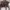 Aigner Celia Handbag Mushroom M – Original
 photo 1