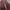 Prada Vintage Casual Handbag Wanita burgundy photo 3