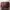 Prada Vintage Casual Handbag Wanita Burgundy