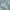 Japanese brand Casual Sweater Pria green blue photo 3