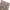 Y2k Graphic acubi fit pinterest cyberpunk skater kids grunge photo 5