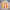 Pierre Cardin Vintage Casual Sweater Pria Orange