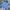 Uniqlo Gorpcore Casual Hoody Pria blue photo 3