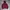 Vetements hoodie basic photo 1