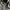 Nike Y2K Sportswear Track jacket Pria brown black photo 3