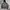 Nike Y2K Sportswear Track Jacket Pria Brown Black
