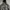 Nike Y2K Sportswear Track jacket Pria brown black photo 2