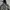 Nike Y2K Sportswear Track Jacket Pria Brown Black
