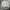 Nike Y2K Sportswear Windbreaker Pria white pink photo 1