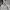Columbia Y2K Sportswear Windbreaker Wanita Cream Blue