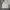 Columbia Y2K Sportswear Windbreaker Wanita cream blue photo 1