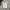 Champion Y2K Sportswear Track jacket Pria white photo 1