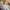 Glamdy Flowers Pants Japanese brand Good photo 5