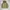 Vtg utility tactical japanese brand hunting jacket photo 6