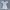 Futurist Midi dress Wanita multicolor photo 1