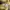 Casual Polo shirt Pria yellow photo 4