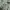Acne Studios Luxury Casual T-shirt Pria gray photo 5