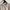 CREMIEUX Casual Polo shirt Pria tan photo 3