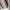 CREMIEUX Casual Polo shirt Pria tan photo 4