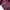 Y2K Grunge T-shirt Wanita burgundy photo 2