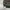 Coogi Style Knitwear 3D Pattern Newcomer’s  photo 4