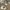 Carhartt Streetwear Casual Casual shirt Pria tan photo 3