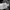 Nike Streetwear Sportswear Fleece Pria gray photo 3