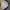 Xebec Sherpa Work Jacket photo 3