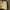 Xebec Sherpa Work Jacket photo 4