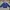 Xebec Sherpa Work Jacket