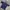 00's ADIDAS TEMPLATE JERSEY  photo 1