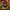 Avant Garde Cosplay Casual dress Wanita brown black photo 1