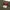 Oakley Software Big Logo Icon Camo Shirt photo 5