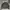 The North Face Windstopper Trackop Jacket