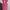 Fairy Wanita Pink