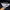 Lacoste Luxury Sportswear Polo shirt Pria navy photo 3