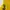 Polo Ralph Lauren Sportswear Casual Polo shirt Pria yellow photo 5