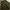 Rok A-line Garis Earthy Vintage