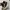 Compass Vintage Casual Sneakers Pria white black photo 4