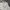 Oversize outer double pocket cream photo 5