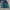 Adidas Sportswear Track Jacket Pria Navy Blue