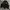 Adidas Sportswear Track jacket Pria black photo 4