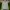 Adidas Sportswear Track jacket Pria green gray photo 1