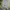Adidas Sportswear Track jacket Pria green gray photo 3