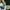 Starter Gravity patental advisory size  photo 7